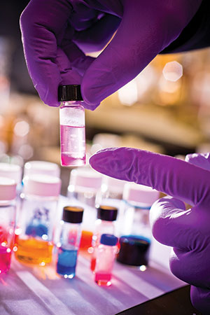 Purple gloves holding small beaker in lab at UBuffalo