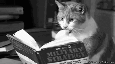 Cat flipping through book