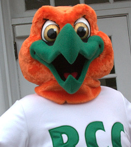 Rocky the Hawk from Rockland Community College