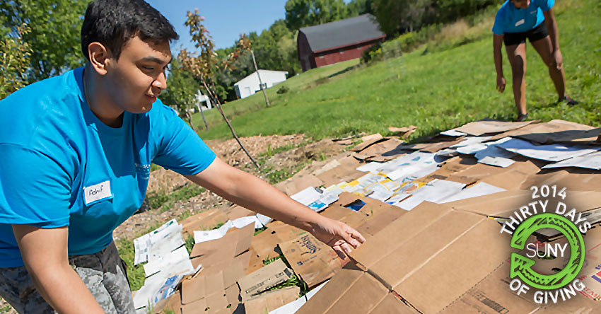 Student Ashif Hassan helps at Binghamton University Acres Farm for the Welcome Week Service Project program.