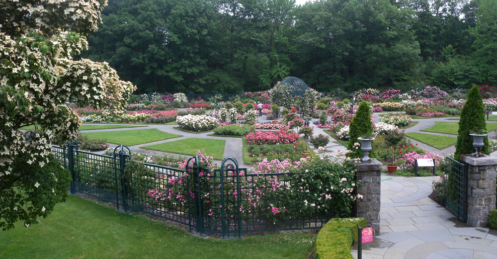 NY Botanical Garden
