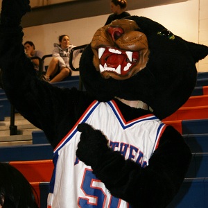 Panther Mascot1