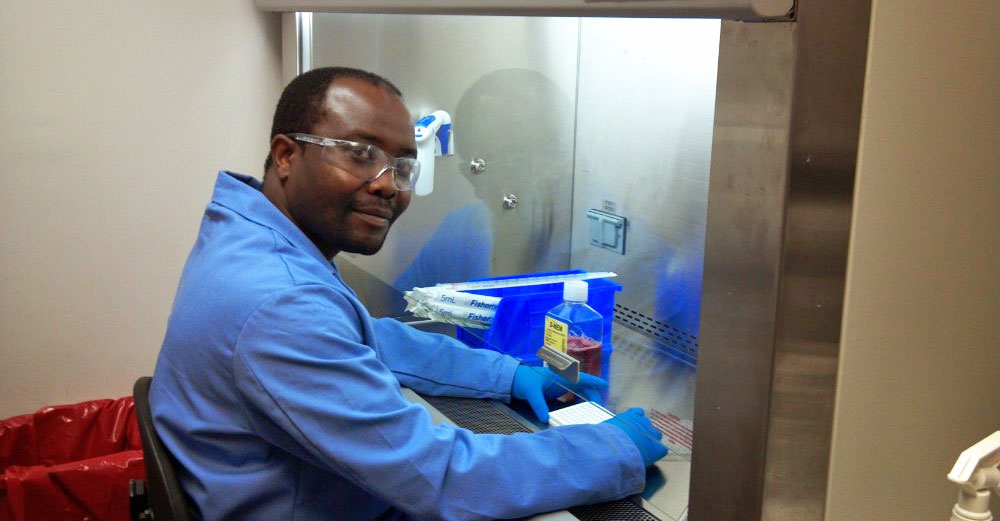 Thomas Zengeya, SUNY alum in biomedical lab.