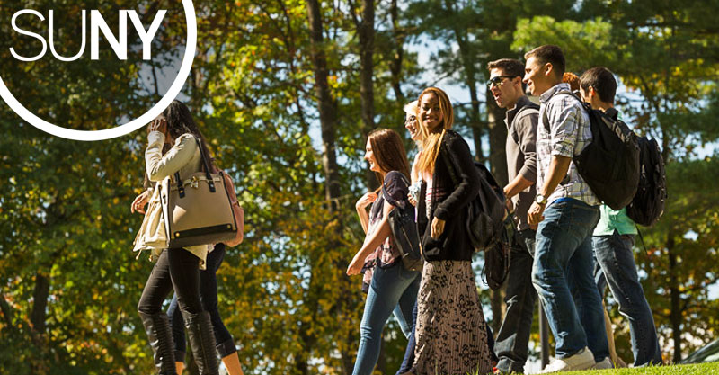 Diverse students walk along a tree lined path.