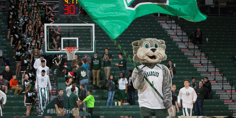 Baxter Bearcat from Binghamton University swinging a flag in the campus arena