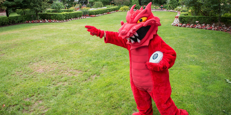 SUNY Cortland mascot Blaze Dragon outside carrying a football.