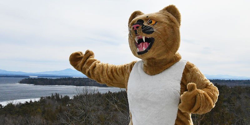 Clinton Community College mascot Calvin Cougar overlooking a lake. 