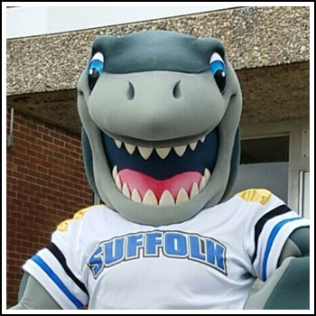 Finn Shark from SUNY Suffolk County Community College