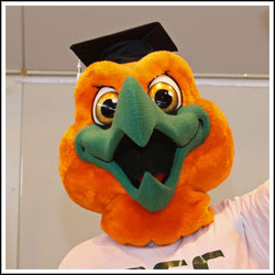 Rockland Community College mascot Rocky Hawk