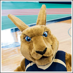SUNY Canton mascot Roody Roo on basketball court.