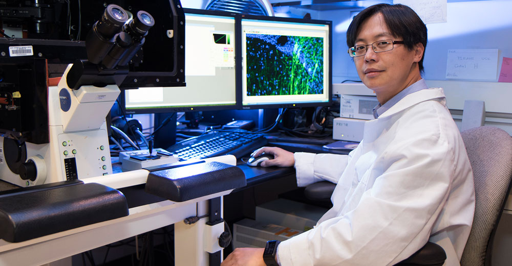 Downstate Medical Center professor Chang Chi Hsieh in his lab office char with large microscope and dual monitor computer in front of him. 