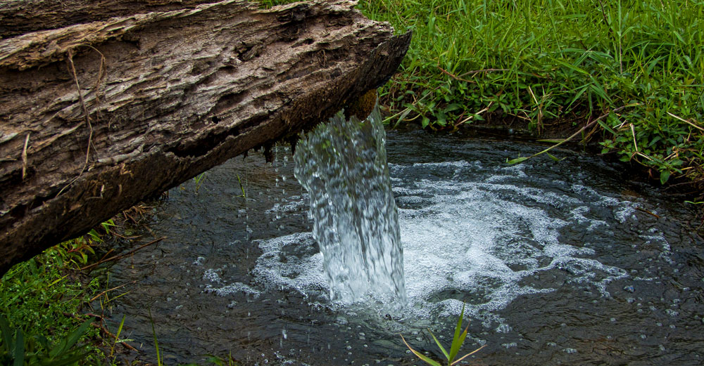 Natural water spring flows into small pond. 