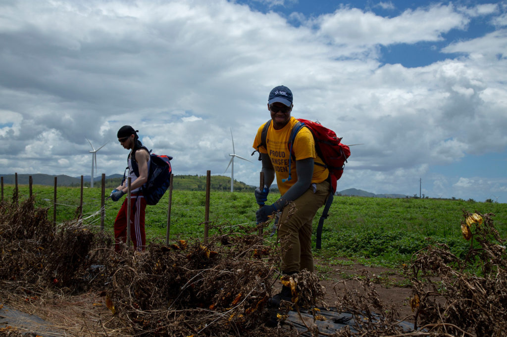 Two male SUNY Albany students uproot dirt in Puerto Rico