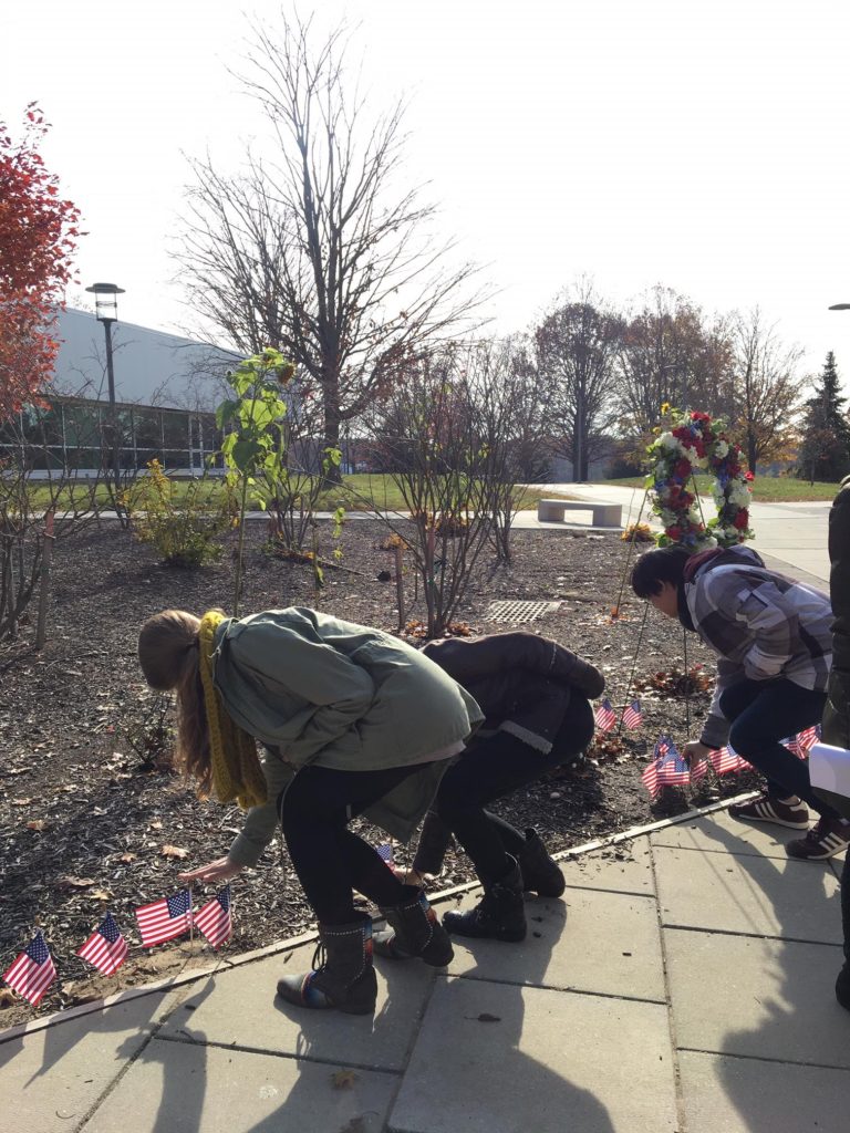 SUNY Old Westbury students plant flags in the ground on campus to honor veterans on Veterans Day.
