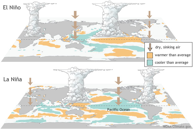El Nino and La Nina diagram 