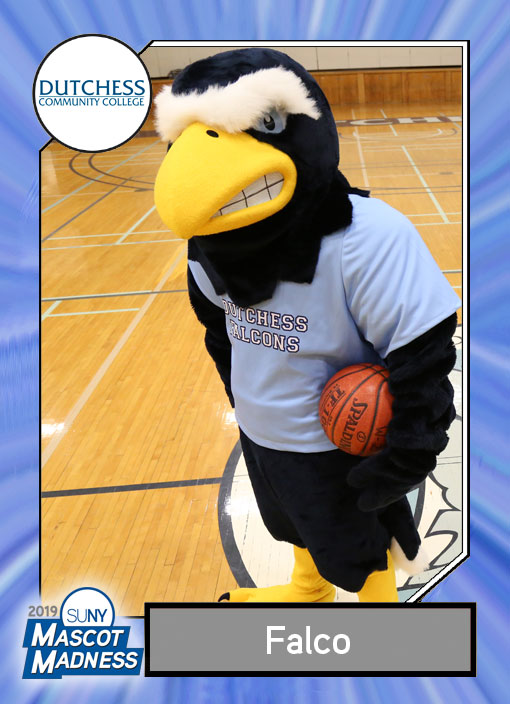 Falco, Dutchess Community College mascot sportscard