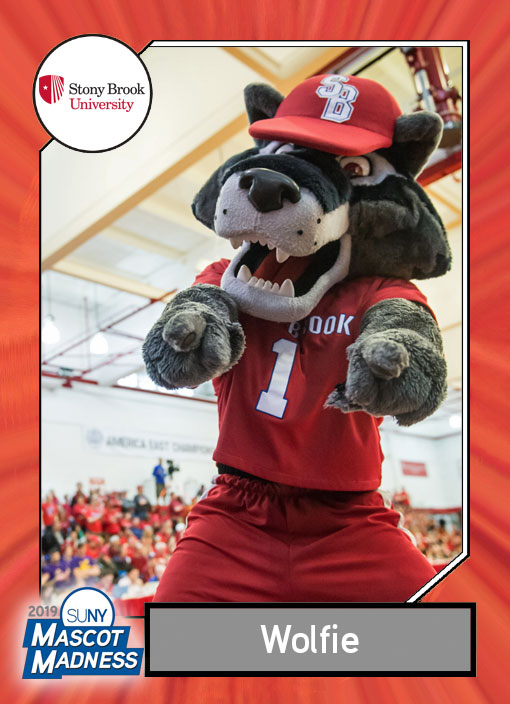 Wolfie, Stony Brook University mascot sportscard