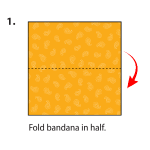 Square bandana cloth with dotted line in middle.