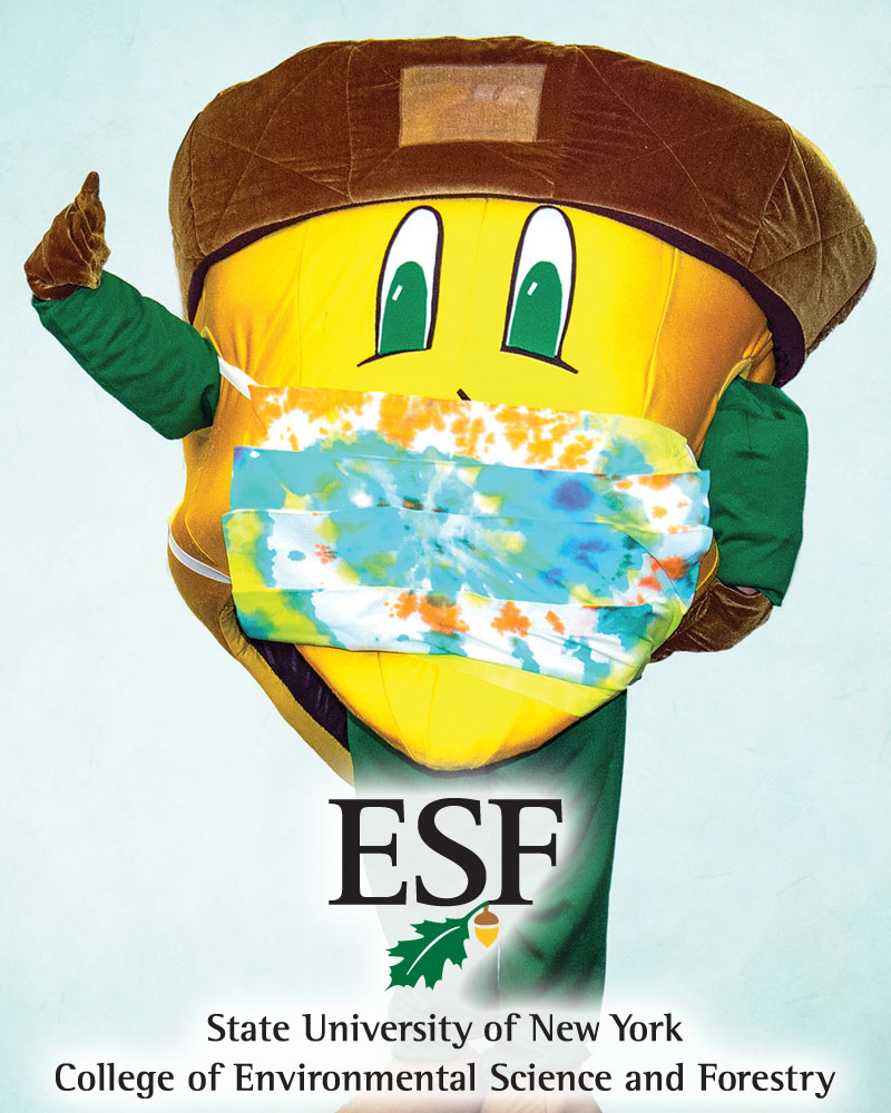 SUNY ESF mascot Oakie Acorn
