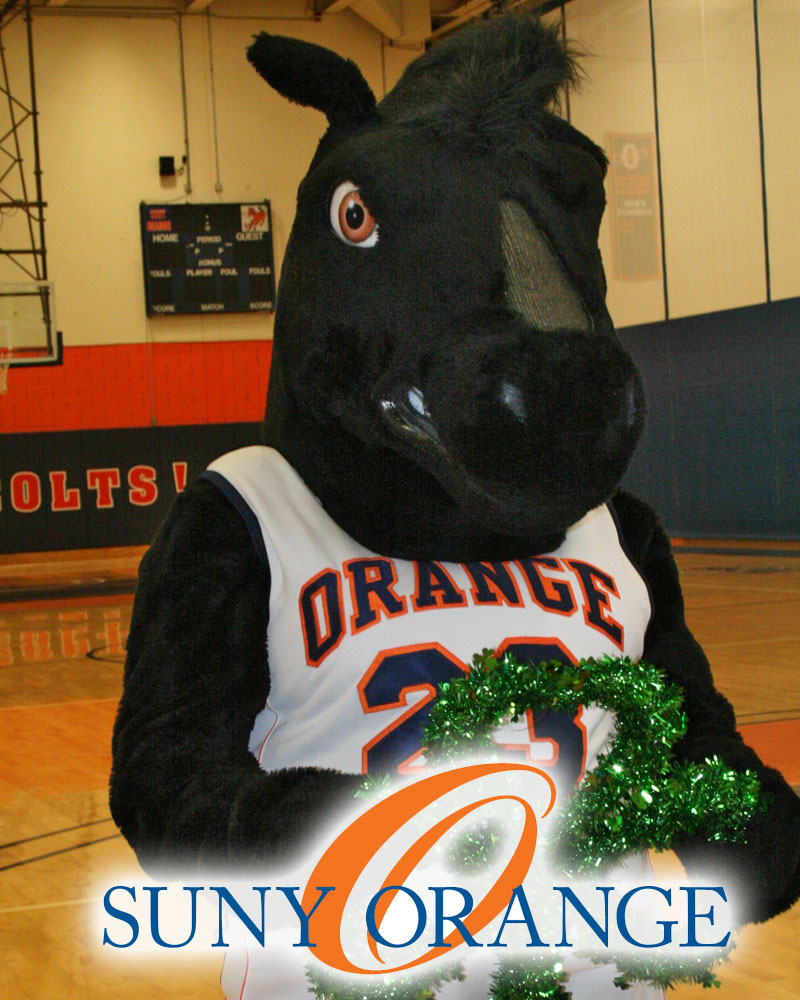 orange County Community College mascot the Colt