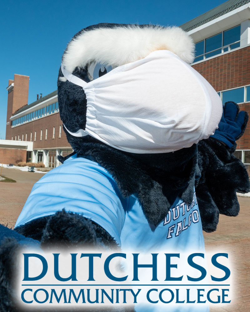 Dutchess Community College mascot Falco