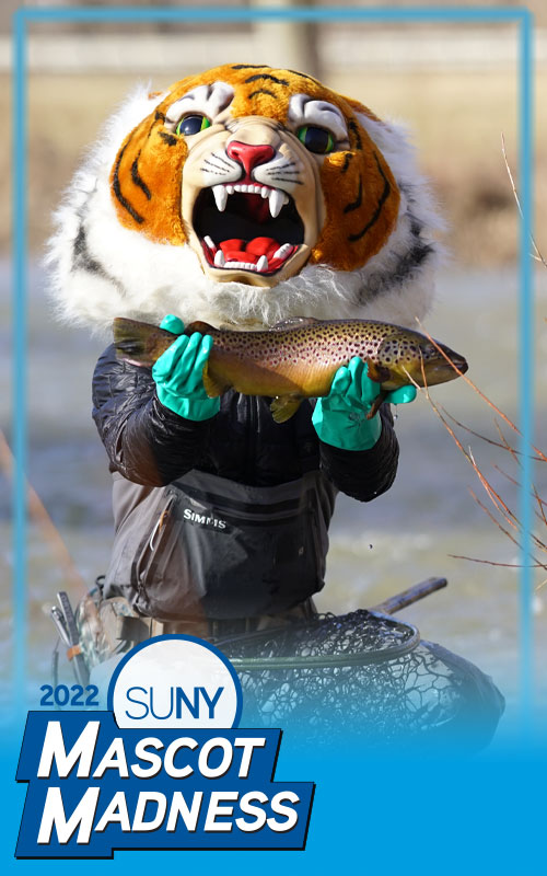 SUNY Cobleskill mascot Coby Tiger
