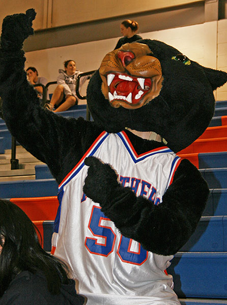 SUNY Purchase College - Perseus the Panther