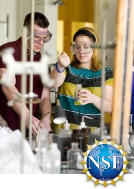 Oneonta lab students receive grant from NSF for STEM Scholarship program