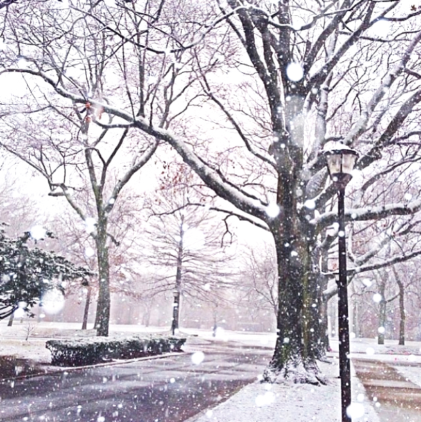 Snowy campus (jennlauren428 on instagram)