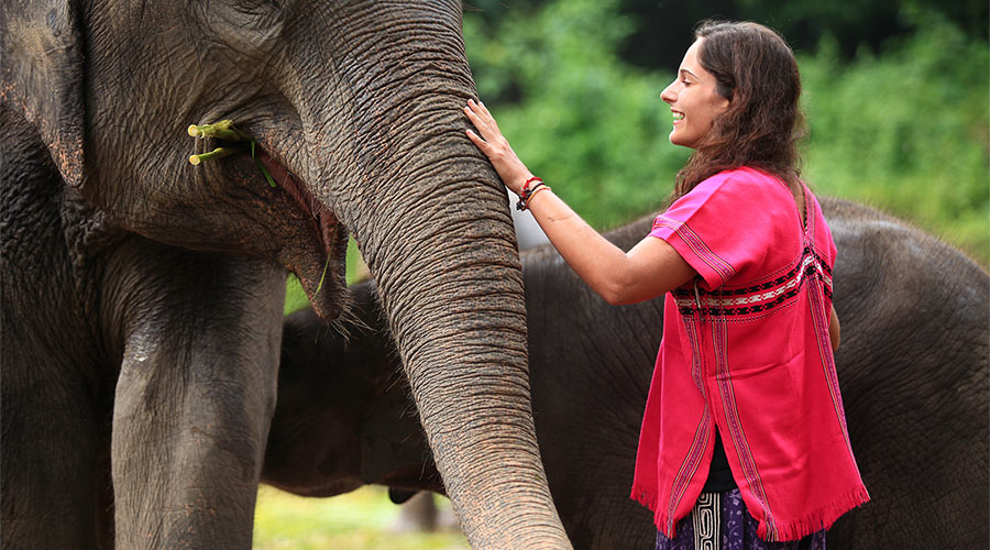 Theresa Montenarello, SUNY Geneseo '12, touches an elephant's trunk in Thailand