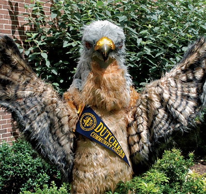 Dutchess Community College - Falcon