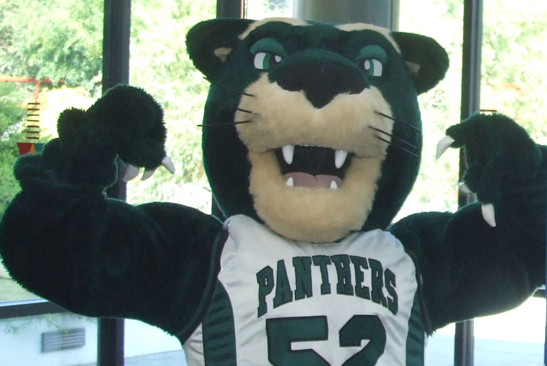 SUNY Old Westbury - OWWIN the Panther