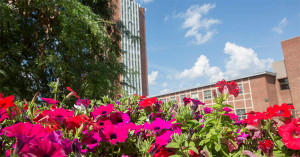 10 SUNY Campuses Named Nation's Top Green Colleges for 2014