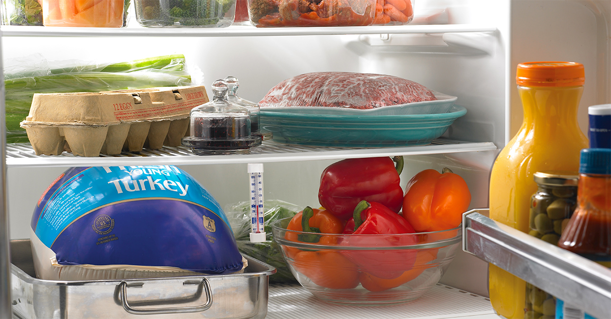 6 Foods Every College Student Should Keep In Their Fridge
