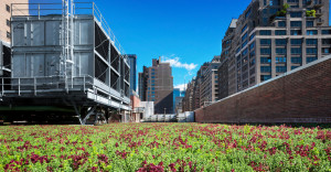 Rooftop garden at FIT in New York City.