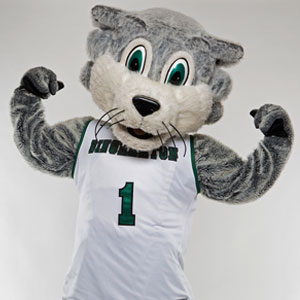 Binghamton University - Baxter Bearcat