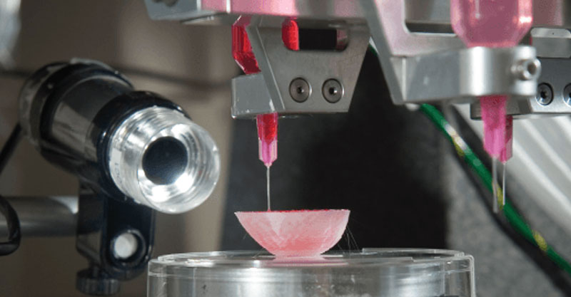 3D printer making pink bowl like object.