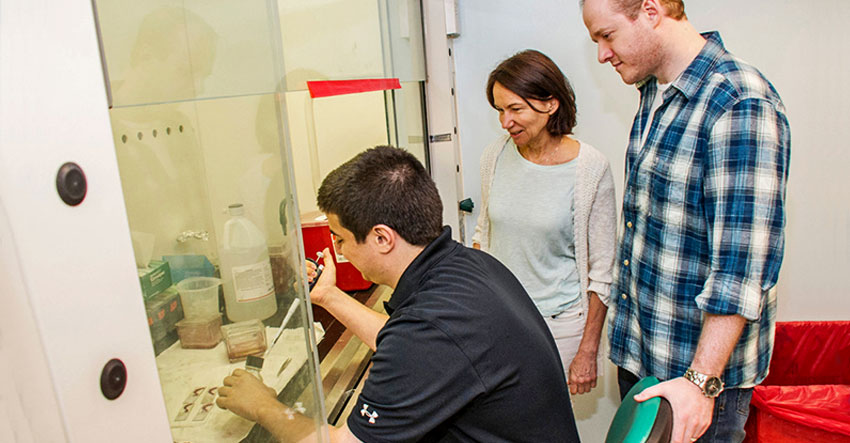 UAlbany lab participants look at liquid compounds in breast cancer research.