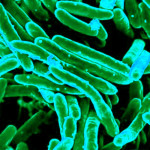 Leading the Charge Against Drug-Resistant Bacteria