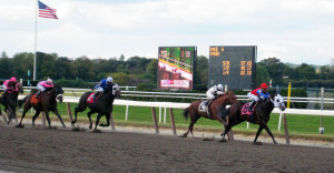 Horse race at Belmost Race Track in NY.