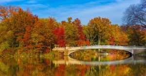 Fall folliage of colored leaves on trees behind a walking bridge over a river.