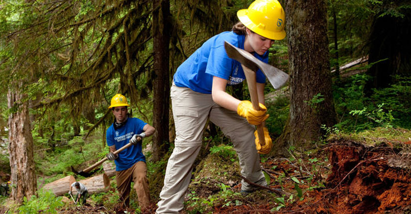Students chop wood with an ax in forest.