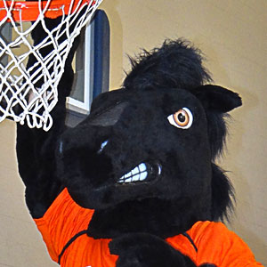 SUNY Orange Colt mascot dunking a basketball