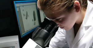 Female researcher looking into into microscrope.