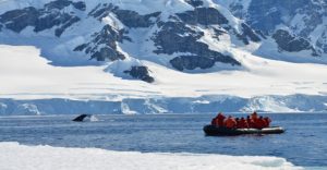 A raft boat floats in the waters of Antarctica looking at whales.