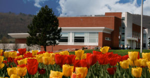 Broome Community College building behind tulips.