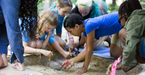 Students participate in an Archeological Dig at Geneseo during the Rochester Young Scholars Academy.