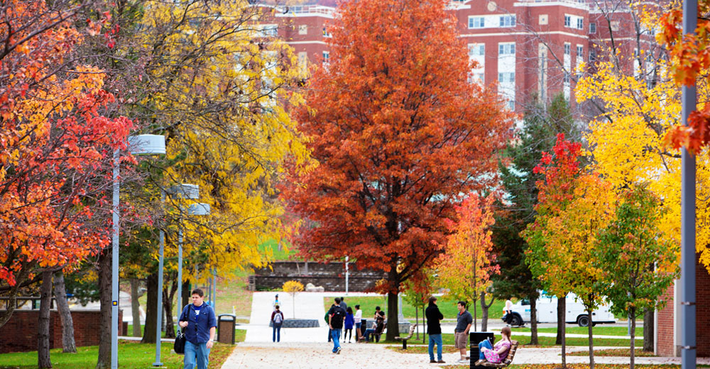 Binghamton University walkway on campus through trees in fall colors.
