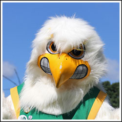 Jamestown Community College mascot JJ Hawk