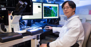 Downstate Medical Center professor Chang Chi Hsieh in his lab office char with large microscope and dual monitor computer in front of him.